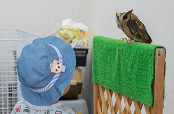 ふれあい移動動物園